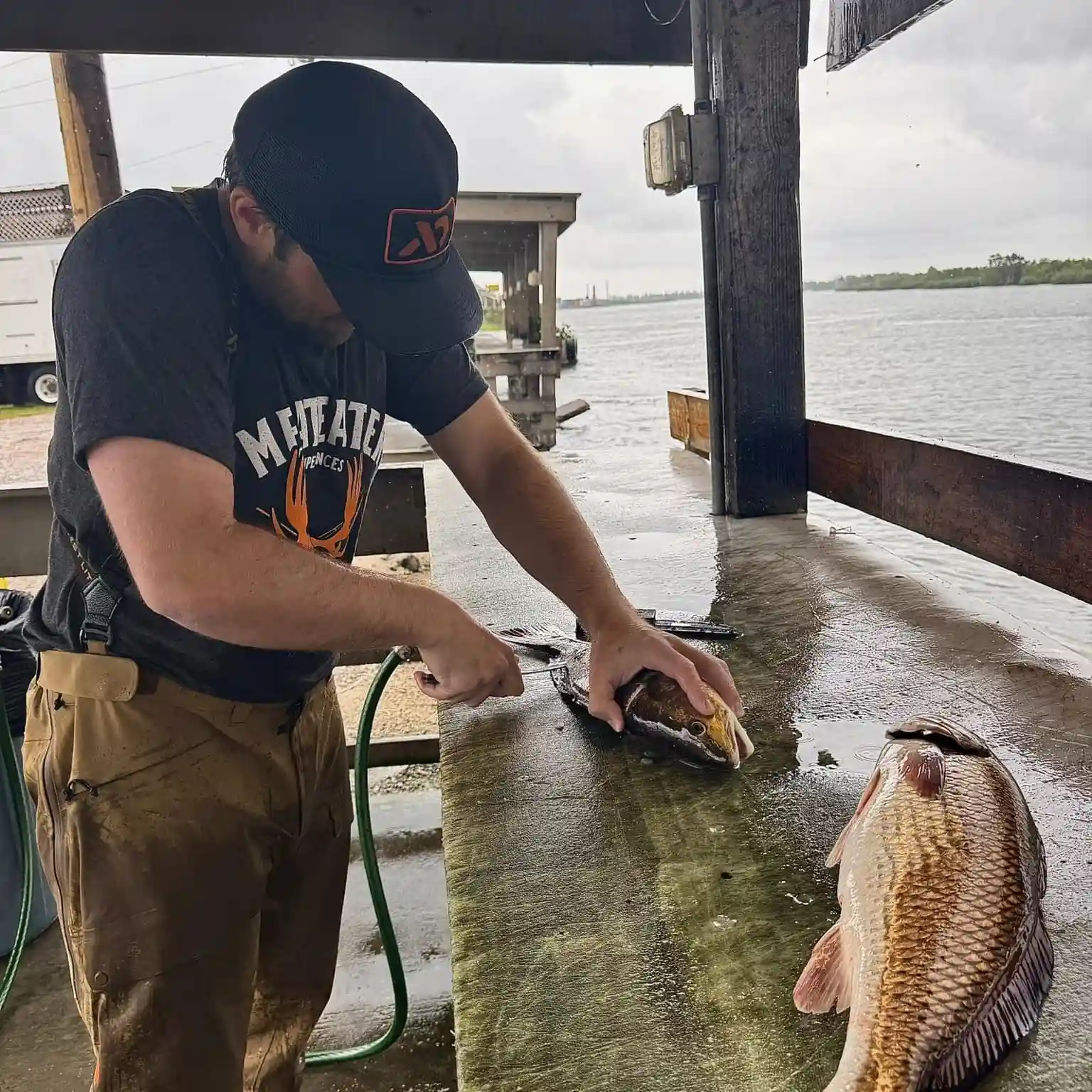 Fish Cleaning Fish Cleaning